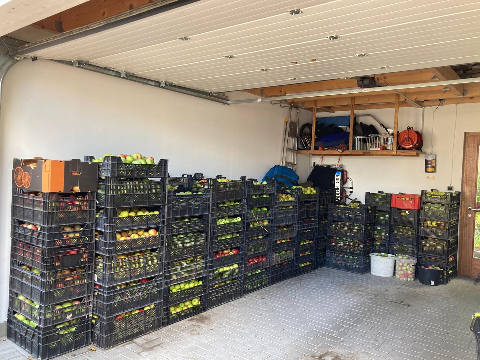 Gemeinschaftsprojekt Apfelernte in Brackstedt